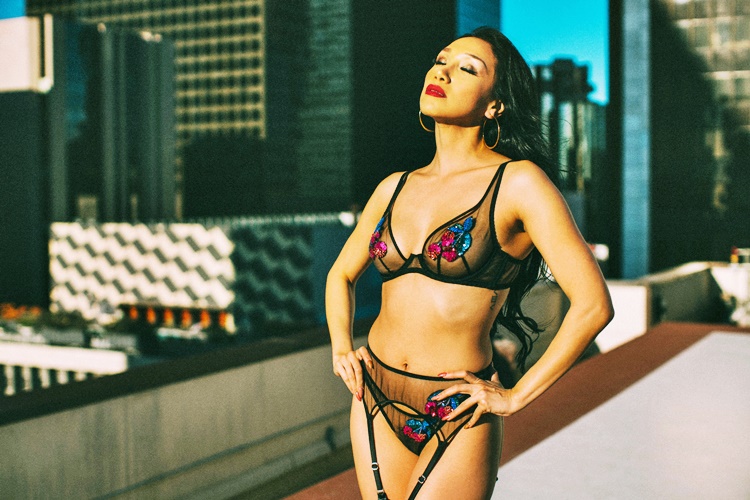 Vicki Chase: Black Lingerie (Luna Stylez, 2019)