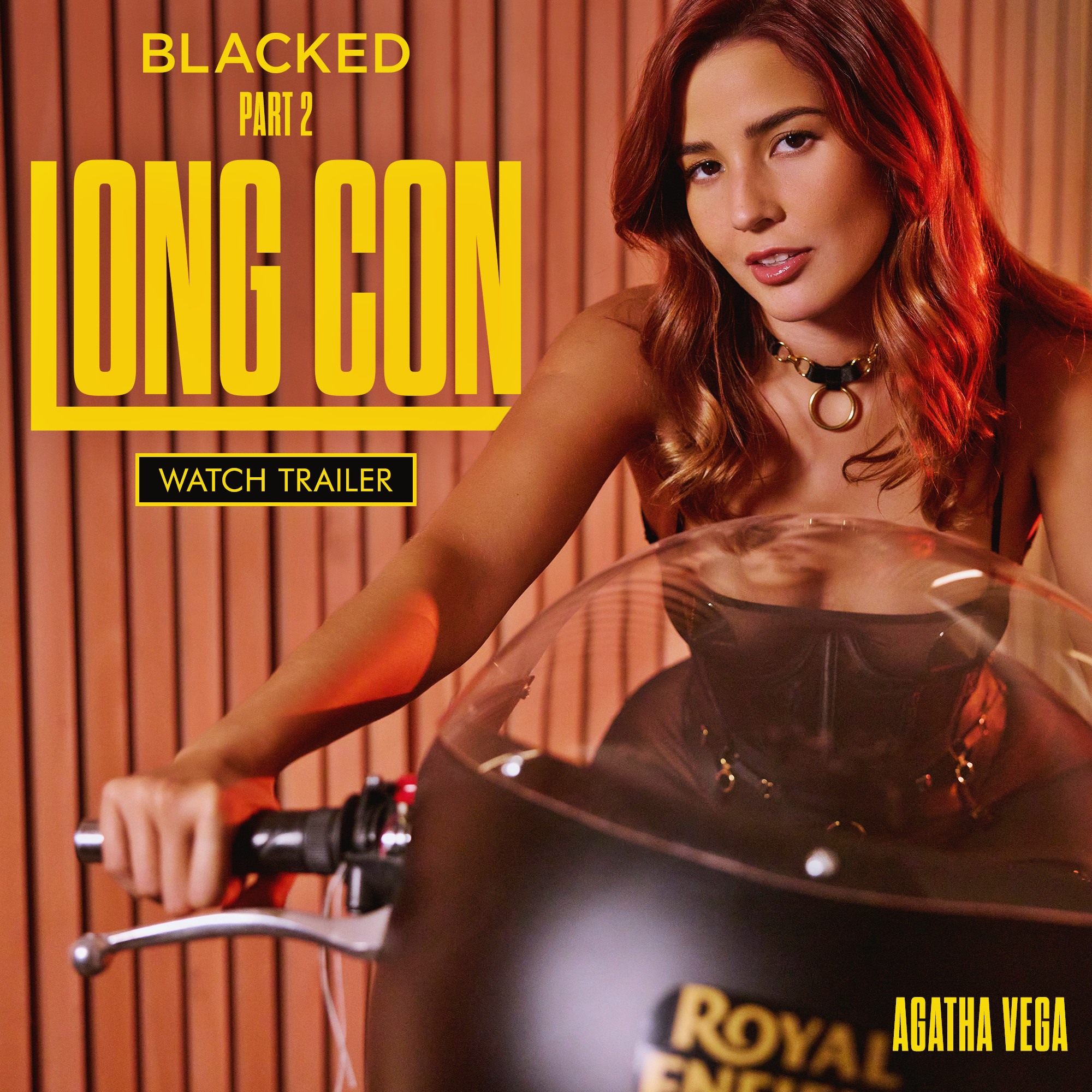 Agatha Vega at 27 Years Old: Long Con (Vixen Star Showcase, 2024)